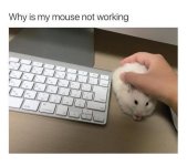 Wireless Mouse.jpeg