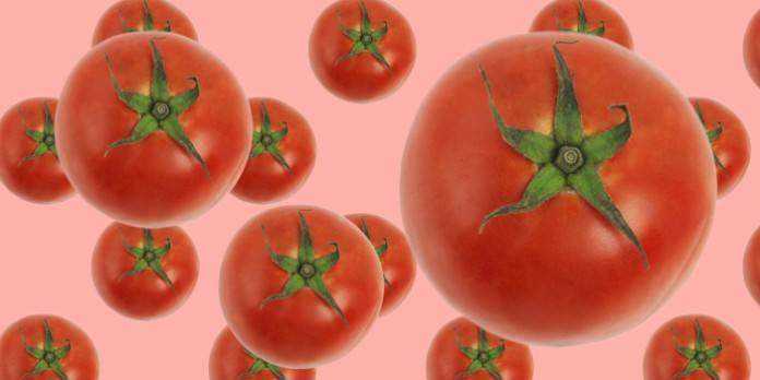 15-facts-about-tomatoes-696x348.jpg