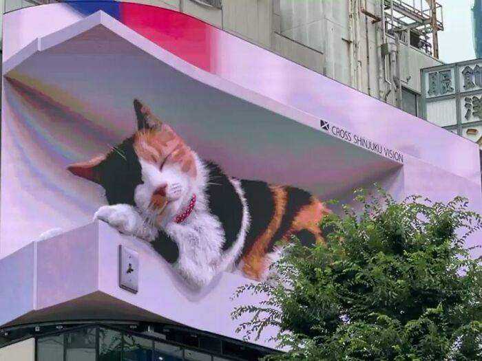 A-giant-3D-cat-on-a-billboard-in-Tokyo-moves-and-meows-like-a-real-thing-and-its-impressing-ev...jpg