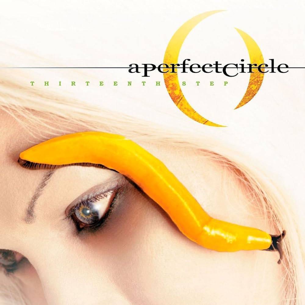 A Perfect Circle - 2003 - Thirteenth Step.jpg
