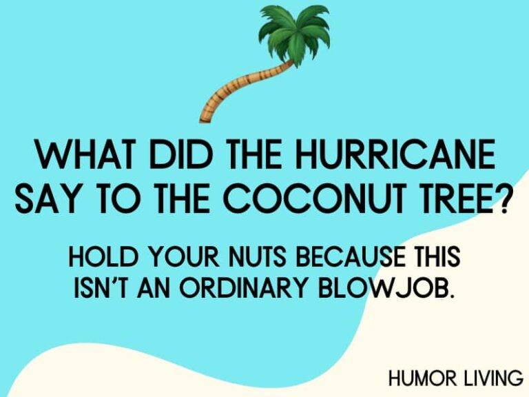 ãdül†-jokes-hurricane-coconut-tree-768x576.jpg