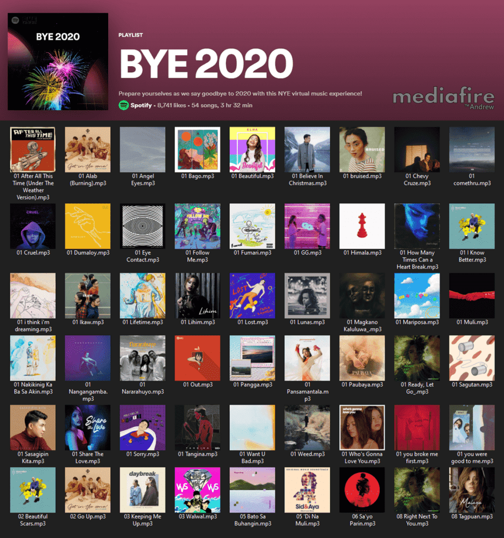 BYE 2020 Cover.png