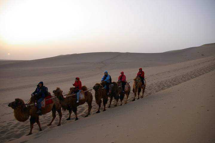 camel-ride-in-the-gobi-desert_11.jpg