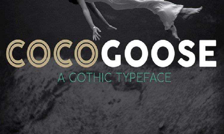 cocogoose-pro.jpg