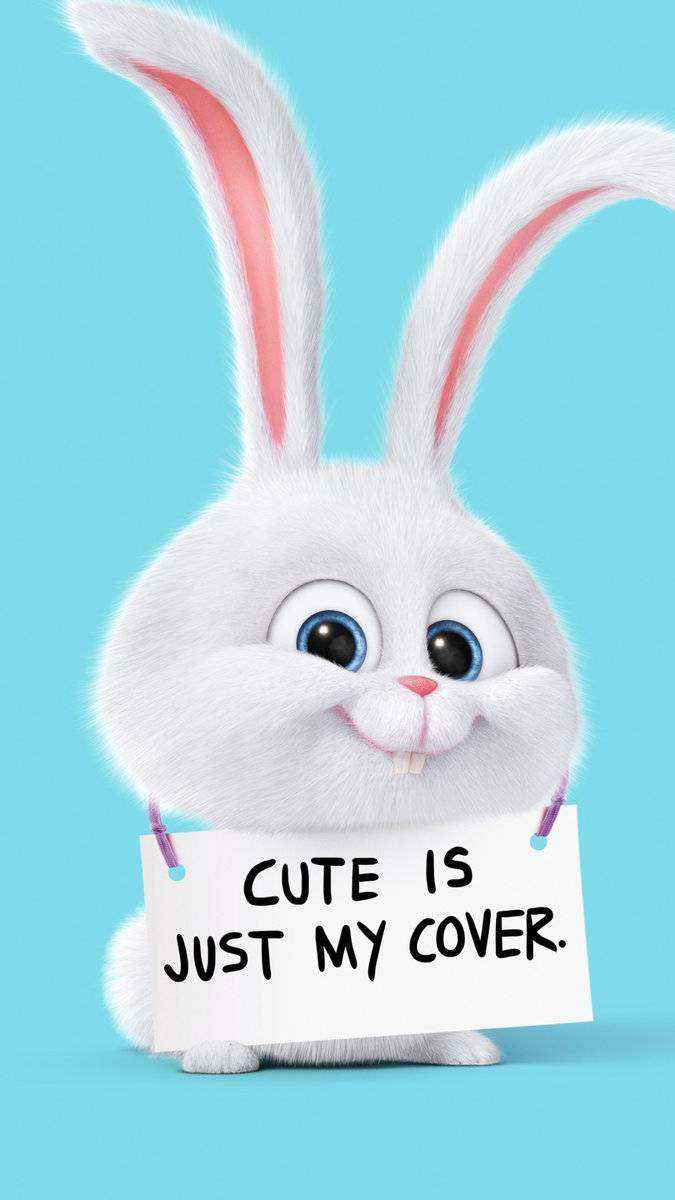 Cute Is Just My Cover Rabbit Android Wallpaper.jpg