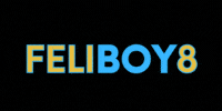 FELIBOY8 (800 x 800 px) (200 x 100 px) (1).gif