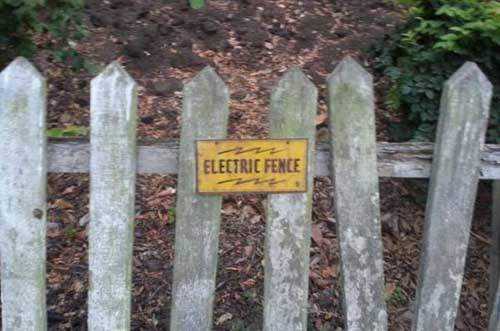 funny-electric-fence.jpg