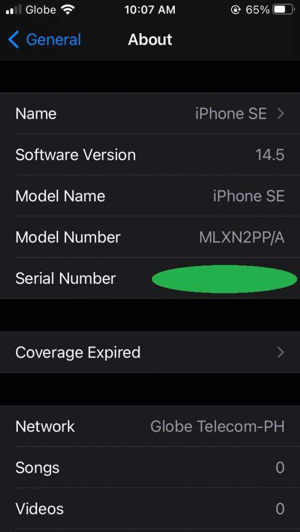 iPhone SE iOS 14.5.jpg