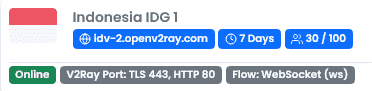 Screenshot_2021-03-10 OpenTunnel net - Free V2Ray Servers.png