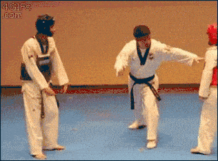 taekwondo.gif