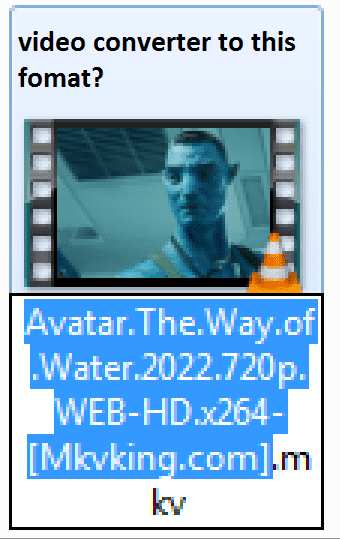 video converter to this fomat.png