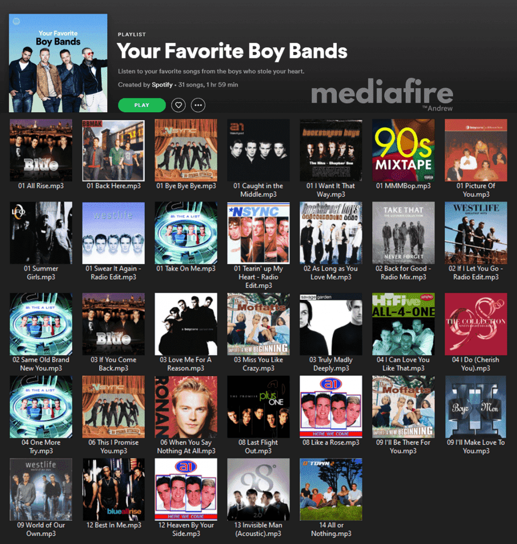 Your Favorite Boy Bands cover.png