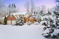 winter-home-snow-trees.jpg