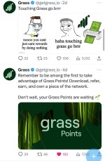 grass 1.jpg