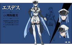 Akame-ga-KILL-Character-Designs-Esdese.jpg