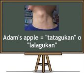 Filipino-translaion-of-Adams-apple-or-windpipe.jpg