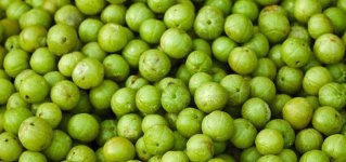 Side-Effects-Of-Amla-And-Who-Must-Not-Consume-It.jpg