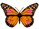butterfly-animation-1.gif