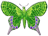 green-butterfly-animated.gif