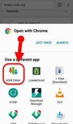 how-to-use-advanced-download-manager-app.jpg