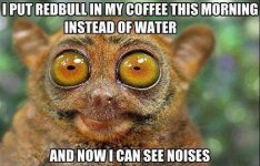 e-And-Now-I-Can-See-Noises-Funny-Water-Animal-Meme.jpg