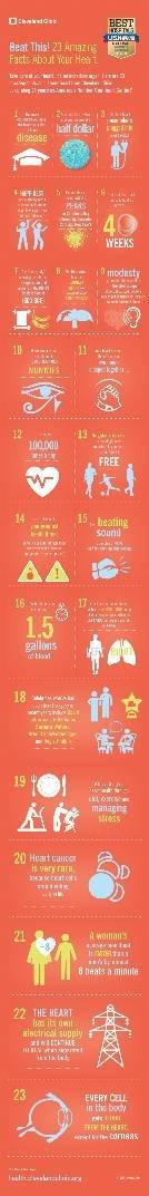 17-HHB-3977-Heart-23-Facts-Infographic_2017.jpg