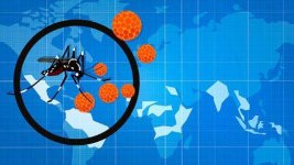 10-Essential-Facts-About-Zika-Virus-alt-722x406.jpg
