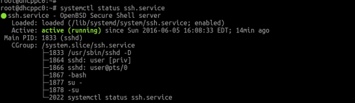 ssh-server-status-debian.png