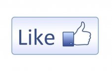 facebook-like-logo.jpg