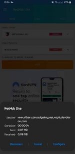 NETHub-VPN-Lite-3.jpg