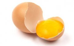 Egg-Yolks.jpg