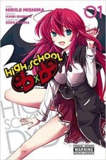 High-School-DxD-manga-1-300x450.jpg
