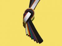 07-facts-about-color-karate-belts-sl.jpg