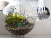 01-diy-lightbulbs-tiny-terrarium-fsl.jpg