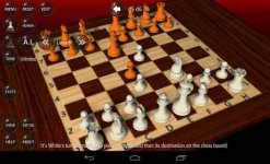 3d-chess-game-3.jpg