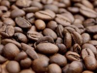 coffee-quiz-07-coffee-beans-sl.jpg