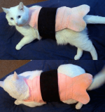iest-pet-halloween-costumes-large-msg-134706159419.png