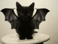 Halloween-Bat-Kitten.png