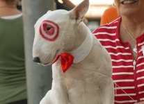 adorable-diy-halloween-costumes-for-dogs-cats.w654.png