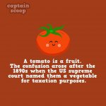 interesting-facts-about-vegetables-61__880.jpg