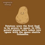 interesting-facts-about-vegetables-81__880.jpg