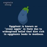 interesting-facts-about-vegetables-111__880.jpg