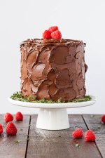 chocolate_raspberry_cake-9.jpg