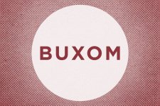 common-words-different-meanings-buxom.jpg