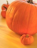 big-pumpkin.jpg