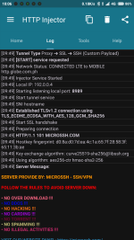 Screenshot_2022-06-02-10-06-17-891_com.evozi.injector.png