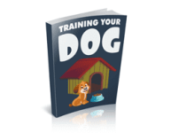 FI-Training-Your-Dog.png