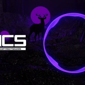 BEAUZ - Illusion (feat. Crunr) [NCS Release].mp4