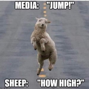 Sheeples 🐑