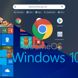 Dual-Booting Windows 10 with ChromeOS on Legacy BIOS.